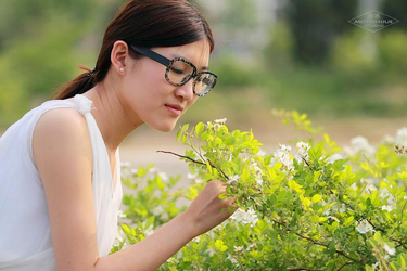 妖精视频一区二区下载界面