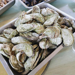 妖精漫画网注册界面